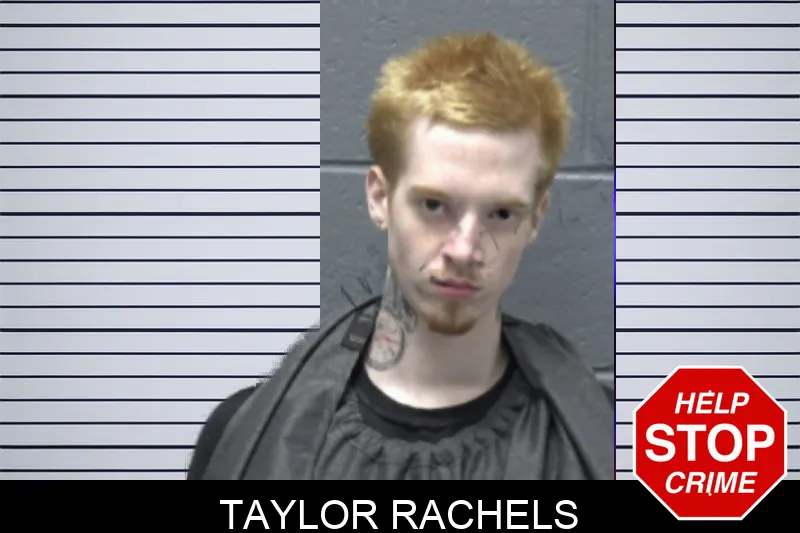 Taylor Rachels mugshot – Forsyth County , Georgia Taylor Rachels mugshot