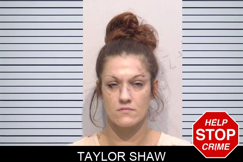 Taylor Shaw mugshot