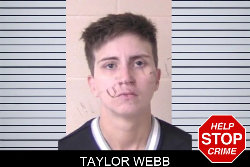 Taylor Webb mugshot – Walker County , Georgia Taylor Webb mugshot