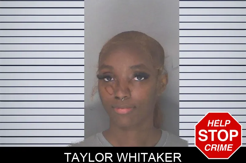 Taylor Whitaker mugshot