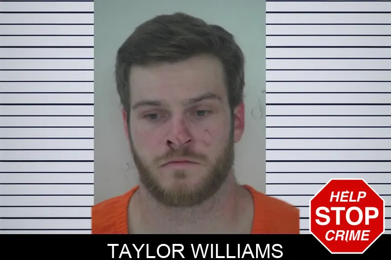 Taylor Williams mugshot – Fayette County , Georgia Taylor Williams mugshot