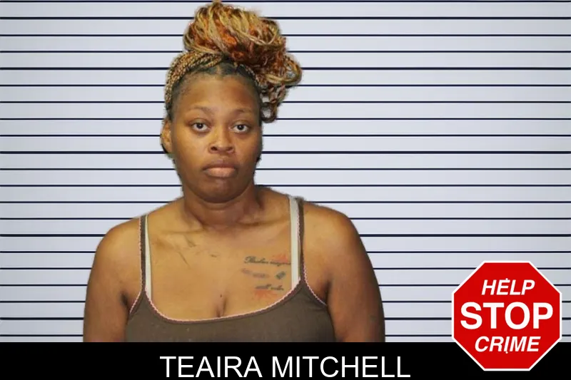 Teaira Mitchell mugshot – Thomas County , Georgia Teaira Mitchell mugshot