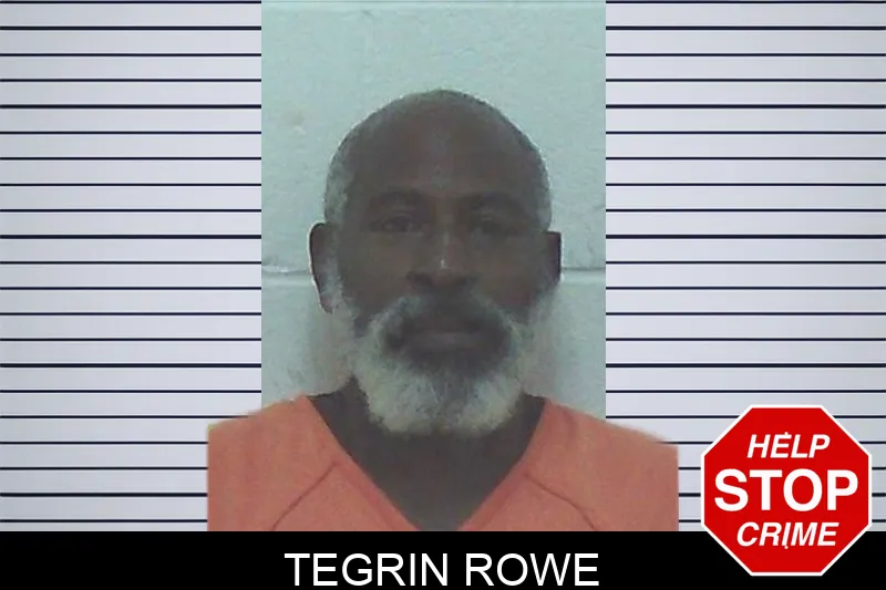 Tegrin Rowe mugshot – Worth County , Georgia Tegrin Rowe mugshot