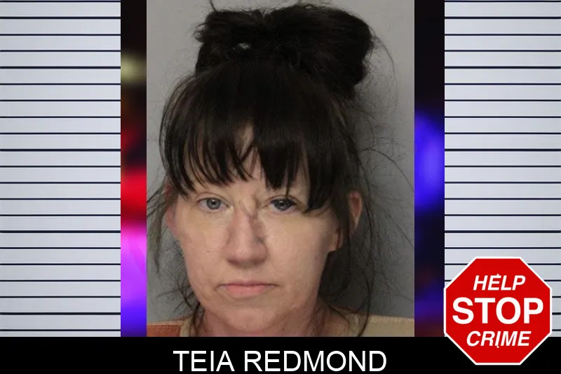 Teia Redmond mugshot – Hall County , Georgia Teia Redmond mugshot