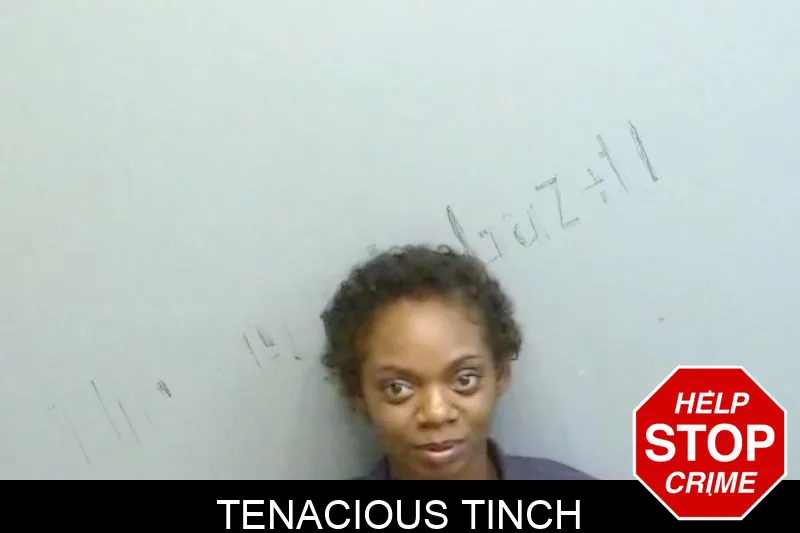 Tenacious Tinch mugshot – Fulton County , Georgia Tenacious Tinch mugshot