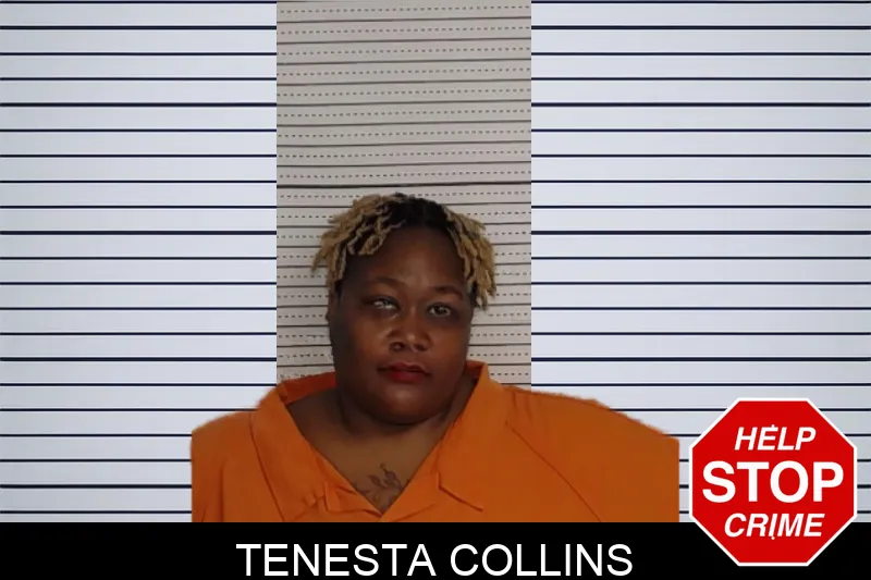Tenesta Collins mugshot