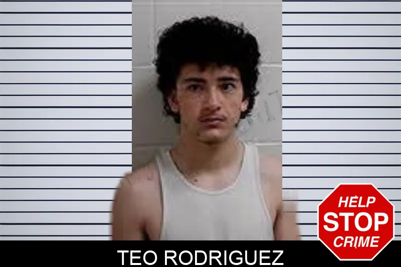 Teo Rodriguez mugshot
