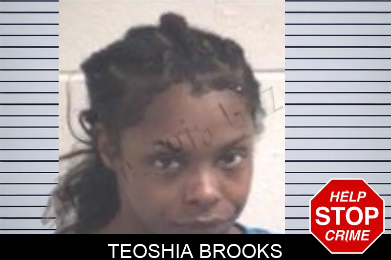 Teoshia Brooks mugshot – Henry County , Georgia Teoshia Brooks mugshot