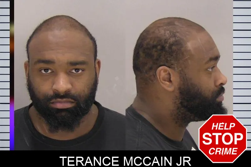 Terance McCain Jr mugshot
