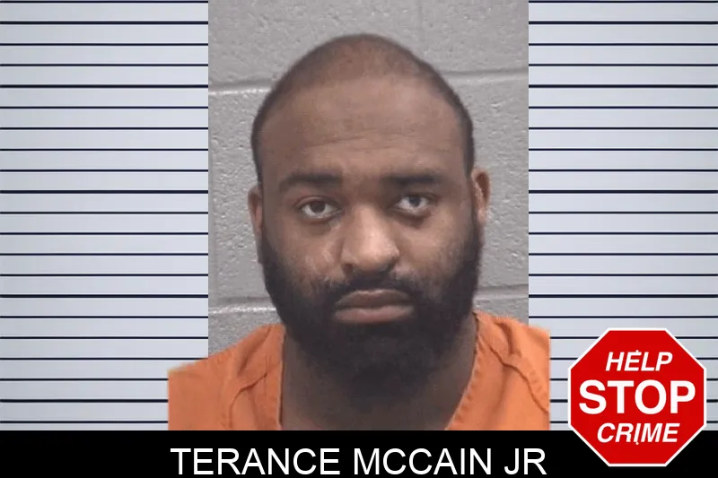 Terance McCain Jr mugshot