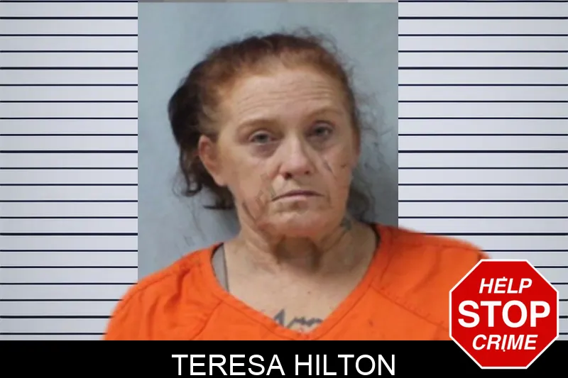 Teresa Hilton mugshot