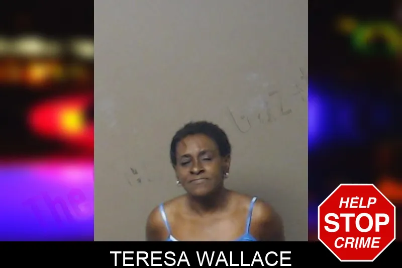 Teresa Wallace mugshot