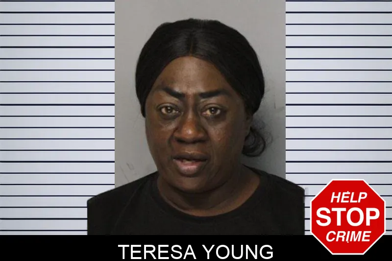 Teresa Young mugshot – Hall County , Georgia Teresa Young mugshot