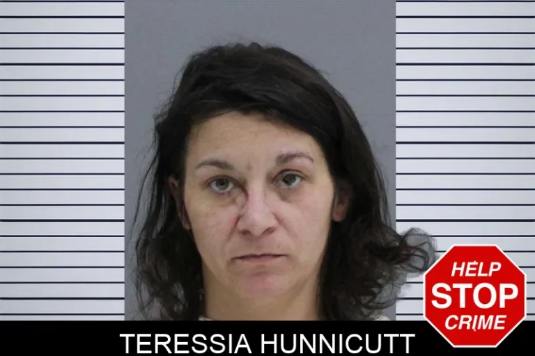 Teressia Hunnicutt mugshot – Rabun County , Georgia Teressia Hunnicutt