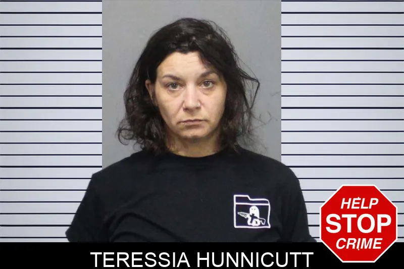Teressia Hunnicutt mugshot – White County , Georgia Teressia Hunnicutt mugshot