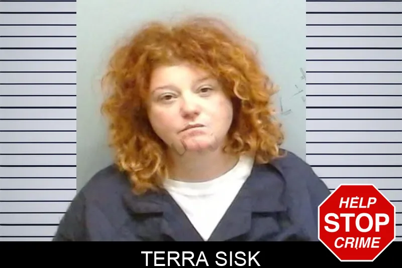 Terra Sisk mugshot – Fulton County , Georgia Terra Sisk mugshot