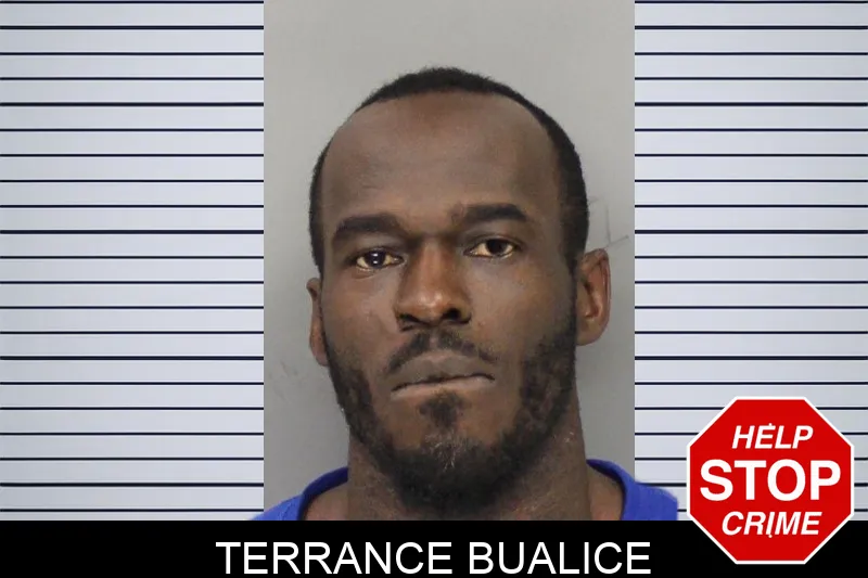 Terrance Bualice mugshot