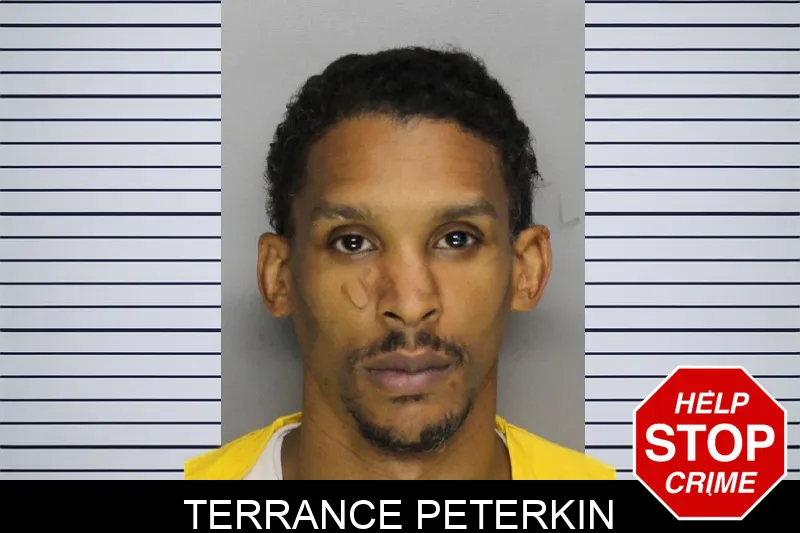Terrance Peterkin mugshot – Cobb County , Georgia Terrance Peterkin mugshot