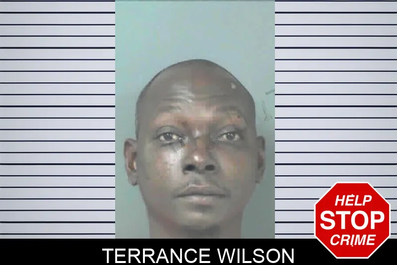 Terrance Wilson mugshot