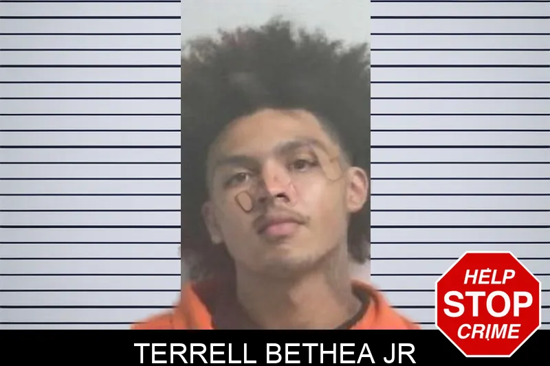 Terrell Bethea Jr mugshot
