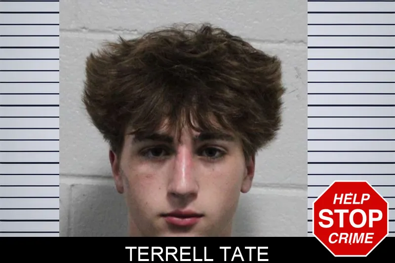 Terrell Tate mugshot – Habersham County , Georgia Terrell Tate mugshot