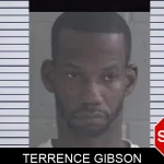 Terrence Gibson mugshot