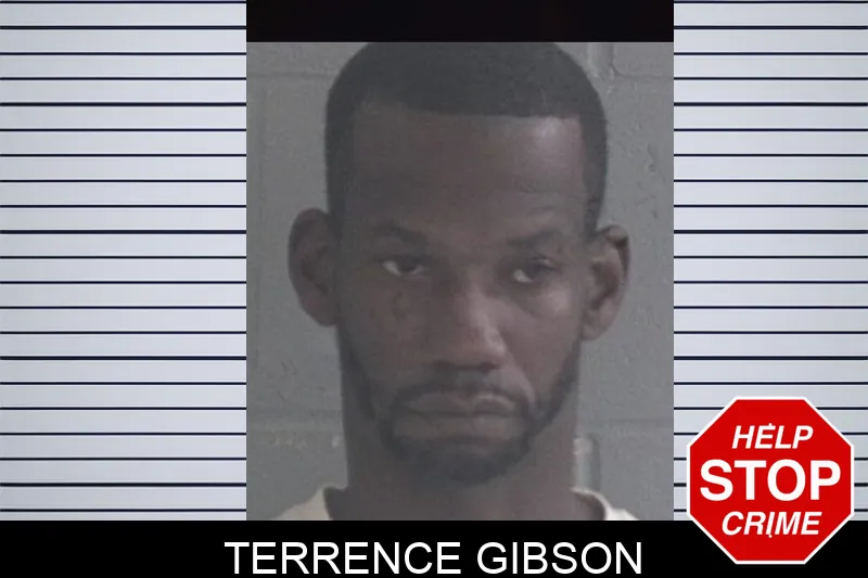 Terrence Gibson mugshot