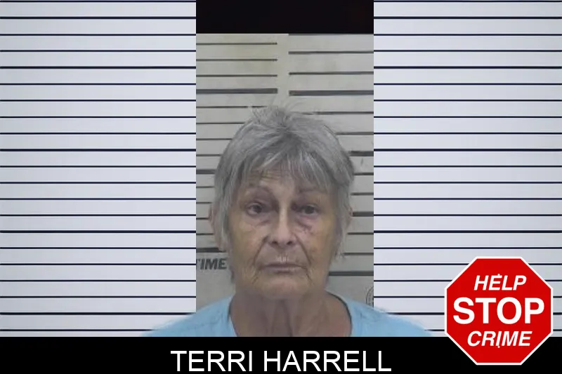 Terri Harrell mugshot – Coffee County , Georgia Terri Harrell mugshot