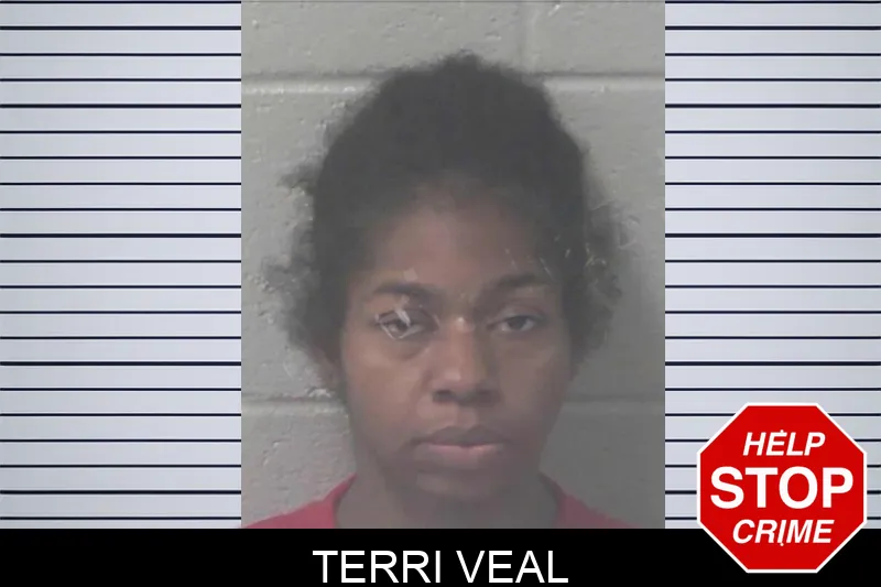 Terri Veal mugshot