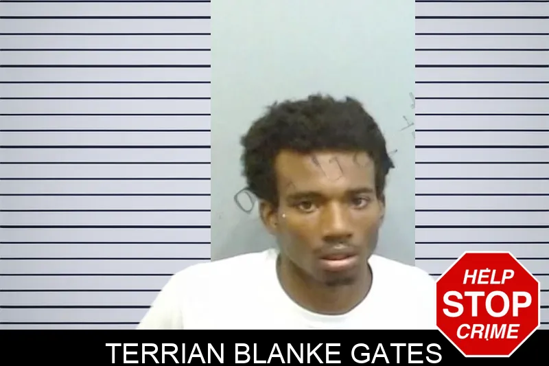 Terrian Blanke Gates mugshot