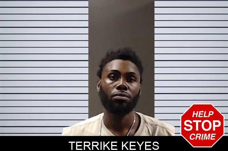 Terrike Keyes mugshot – DeKalb County , Georgia Terrike Keyes mugshot