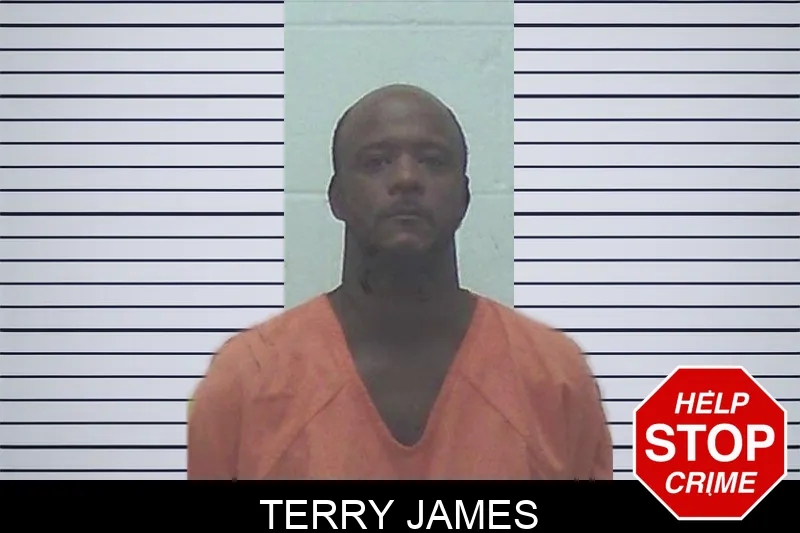 Terry James mugshot – Worth County , Georgia Terry James mugshot