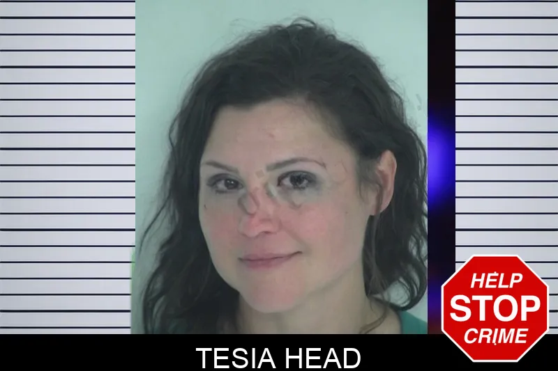 Tesia Head mugshot – Fayette County , Georgia Tesia Head mugshot