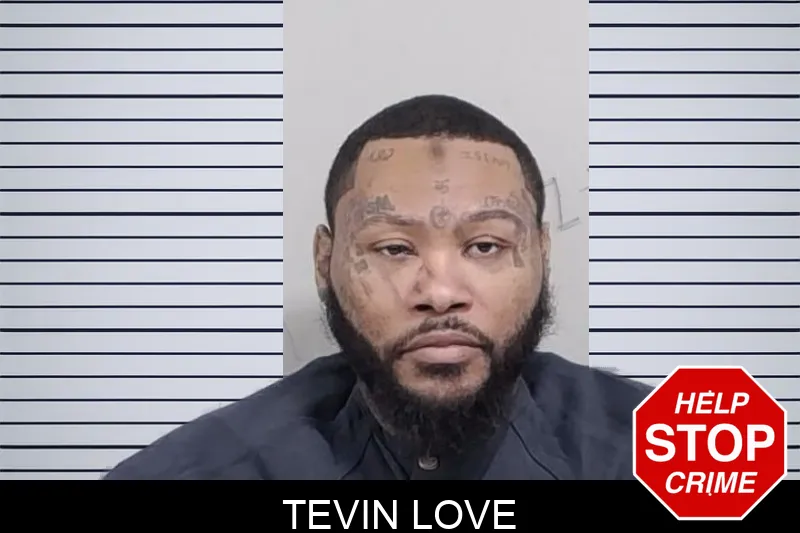 Tevin Love mugshot – Lowndes County , Georgia Tevin Love mugshot