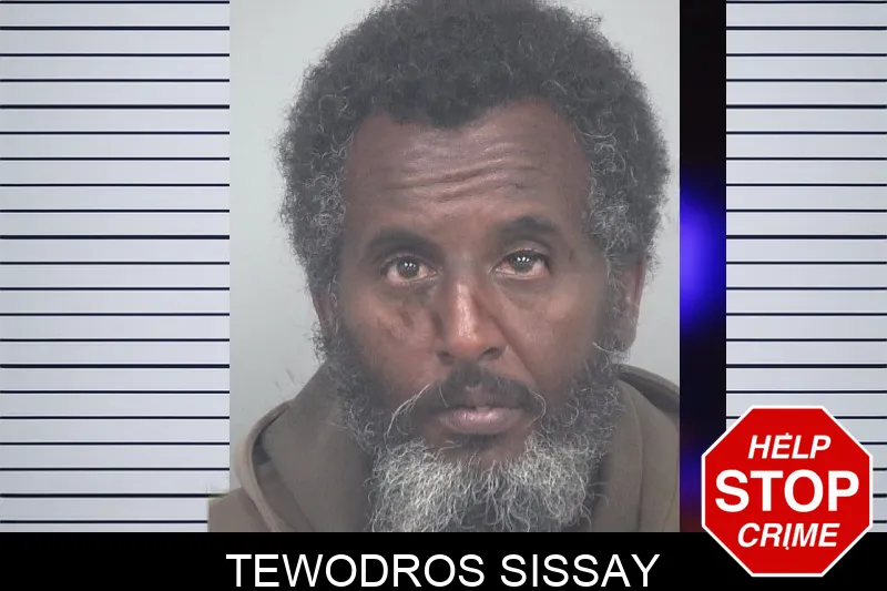 Tewodros Sissay mugshot – Gwinnett County , Georgia Tewodros Sissay mugshot