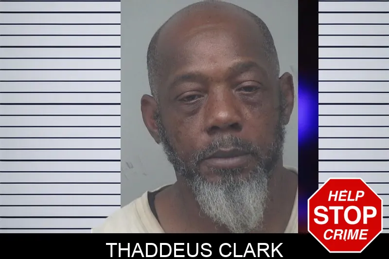 Thaddeus Clark mugshot – Gwinnett County , Georgia Thaddeus Clark mugshot