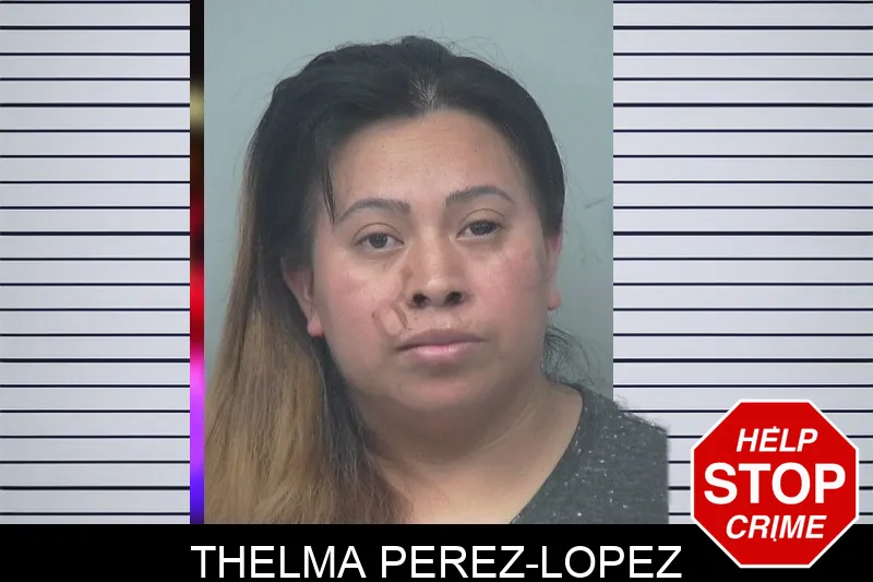 Thelma Perez-Lopez mugshot – Gwinnett County , Georgia Thelma Perez-Lopez mugshot