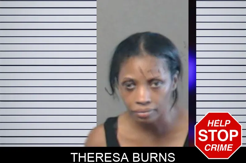 Theresa Burns mugshot