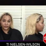 Ti Nielsen-Wilson mugshot – Camden County , Georgia Ti Nielsen-Wilson mugshot
