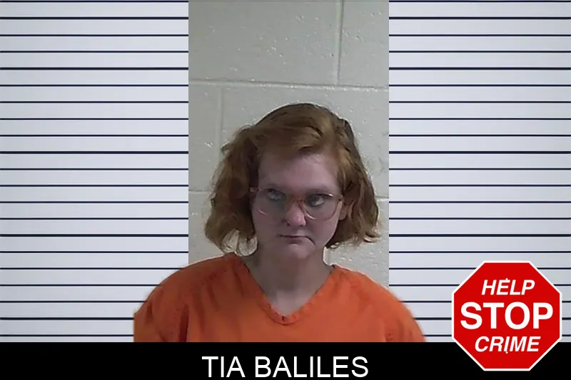Tia Baliles mugshot – Fannin County , Georgia Tia Baliles mugshot