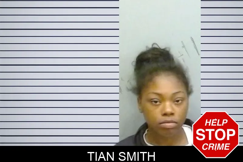 Tian Smith mugshot – Fulton County , Georgia Tian Smith mugshot