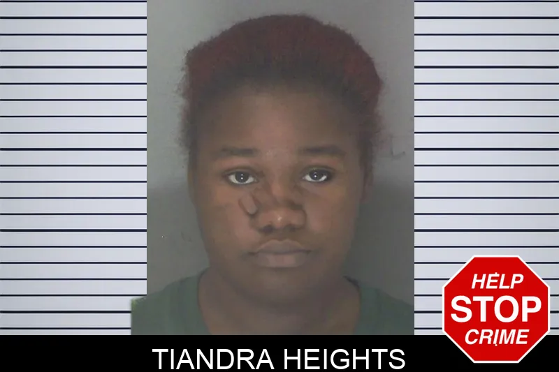 Tiandra Heights mugshot – Douglas County , Georgia Tiandra Heights mugshot