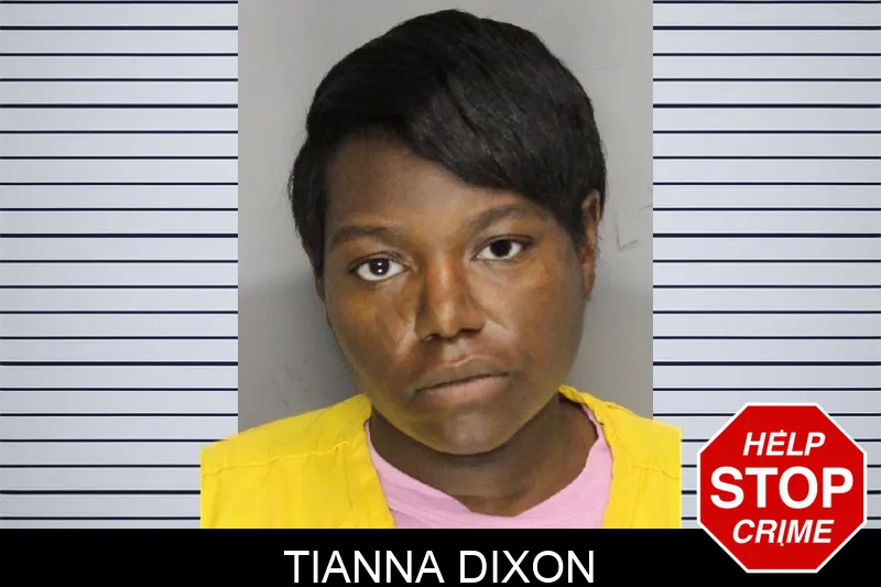 Tianna Dixon mugshot – Cobb County , Georgia Tianna Dixon mugshot
