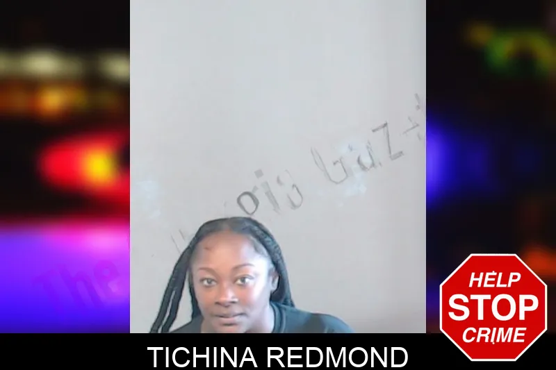 Tichina Redmond mugshot – DeKalb County , Georgia Tichina Redmond mugshot