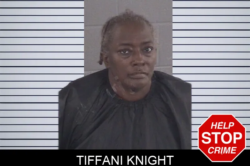 Tiffani Knight mugshot – Spalding County , Georgia Tiffani Knight mugshot