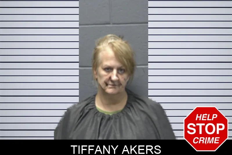Tiffany Akers mugshot – Forsyth County , Georgia Tiffany Akers mugshot