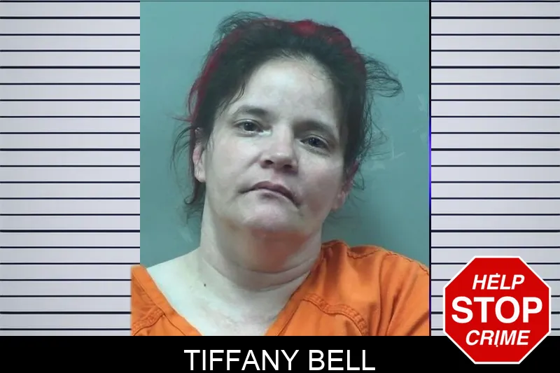 Tiffany Bell mugshot – Bleckley County , Georgia Tiffany Bell mugshot