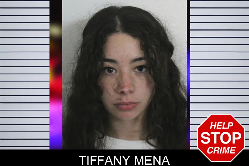 Tiffany Mena mugshot – Floyd County , Georgia Tiffany Mena mugshot