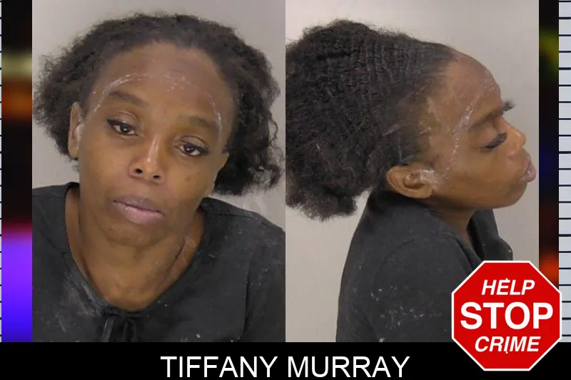 Tiffany Murray mugshot – Richmond County , Georgia Tiffany Murray mugshot
