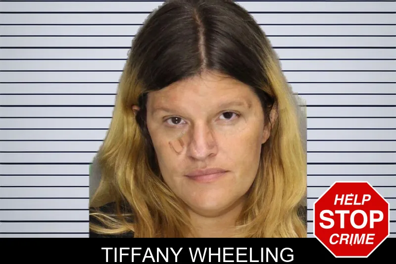 Tiffany Wheeling mugshot – Cobb County , Georgia Tiffany Wheeling mugshot